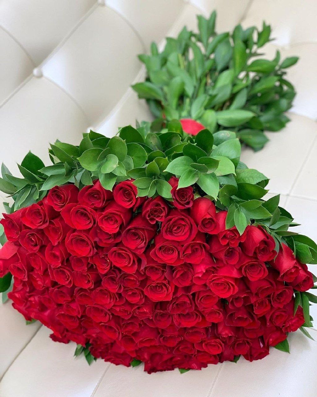 75 красных роз Эквадор - фото 5391