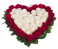 Сердце из  51 розы Эквадор №2137