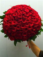 75 красных роз Эквадор - копия