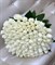 101  белая роза Эквадор - фото 4692
