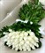 35 белых роз  Эквадор - фото 5044