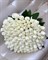 75 белых роз Эквадор - фото 5395